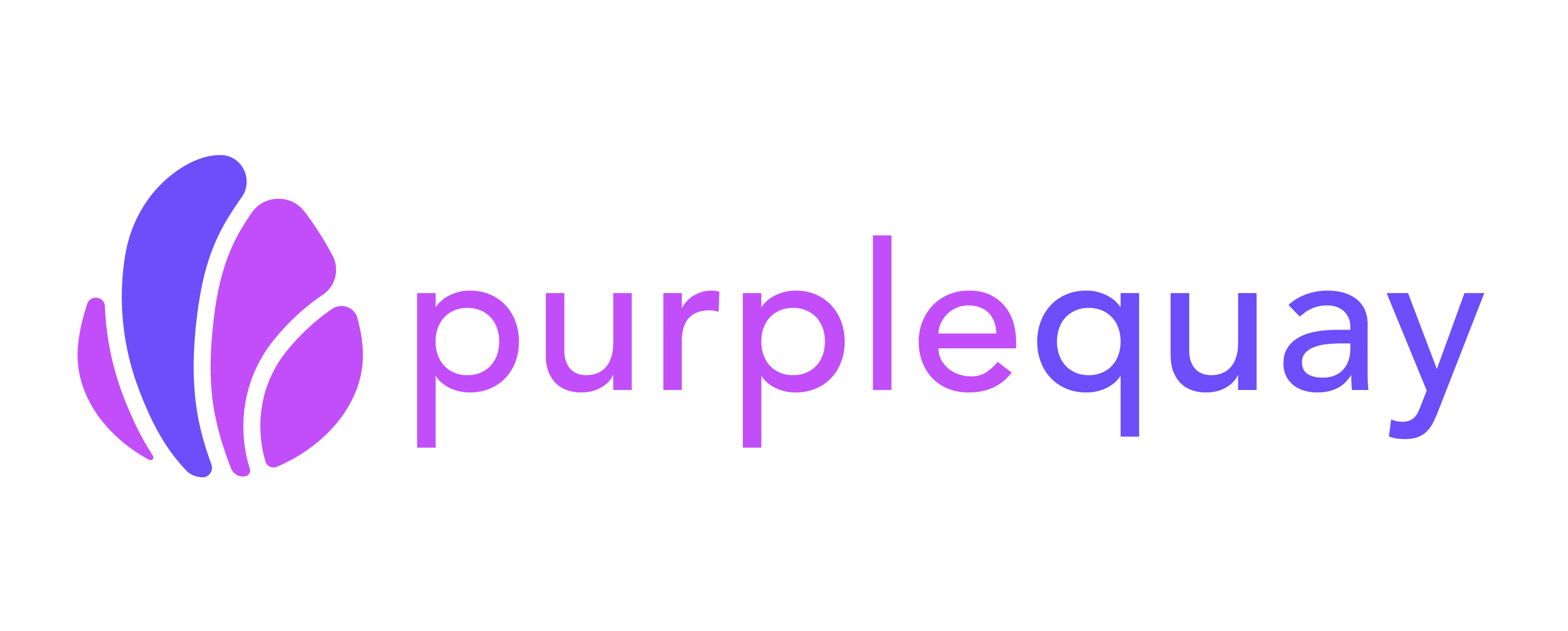 Purple Quay